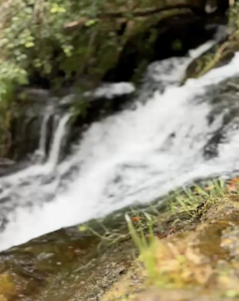 waterfall rest thumb