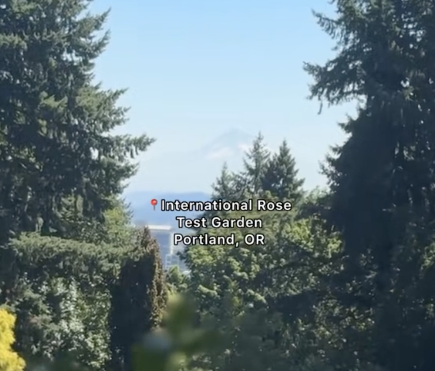 Rose garden mount hood thumb
