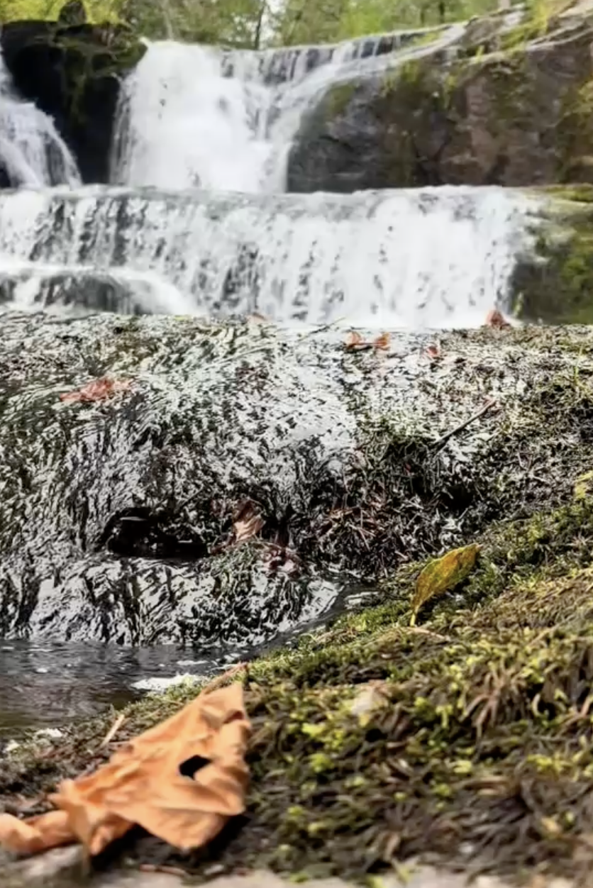 autumn falls thumb