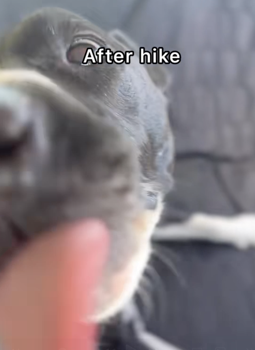 before after thumb