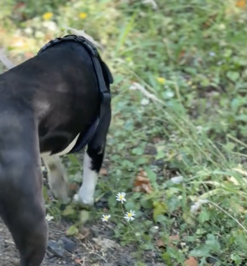 trail snack thumb